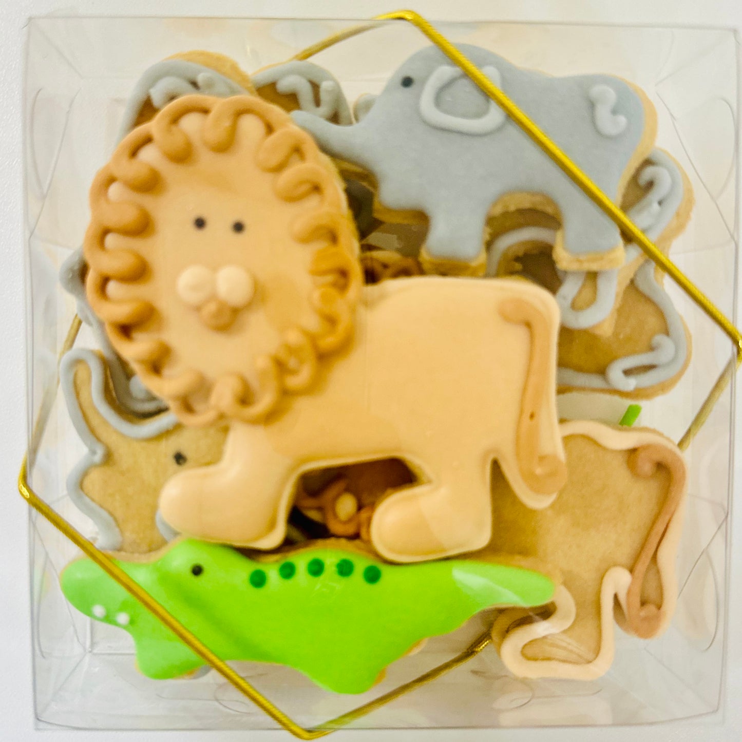 Caixa biscoitos Decorados Safári 100g