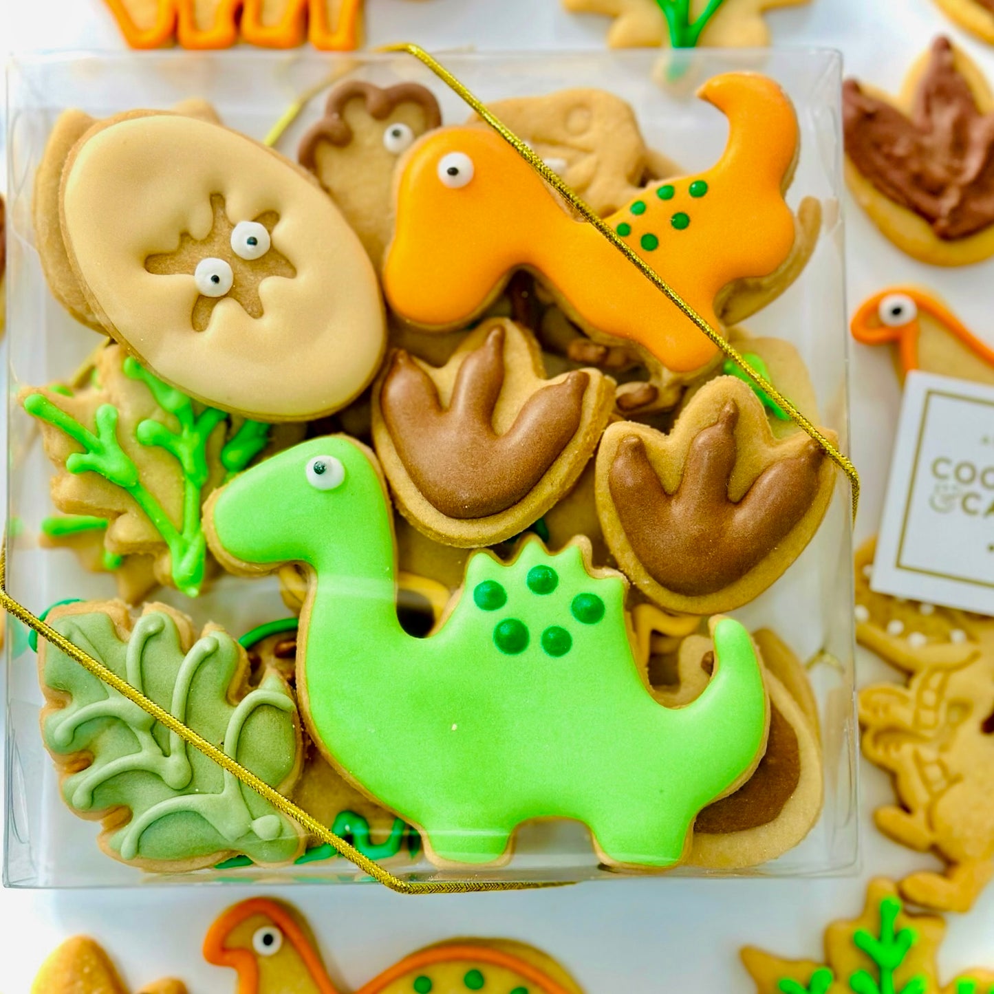 Caixa biscoitos Decorados Dinossauros 140g