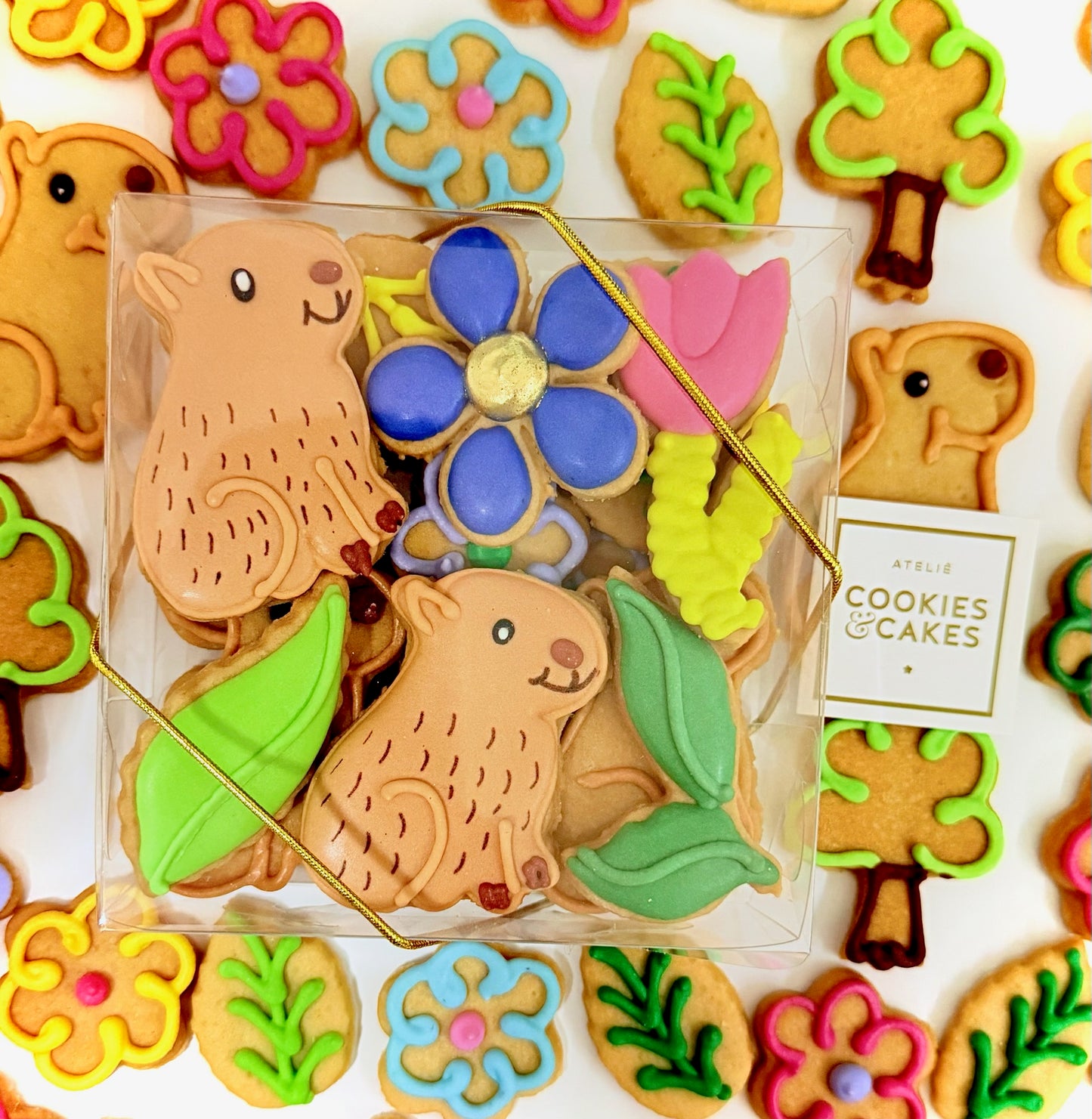 Caixa biscoitos Decorados Capivara 100g